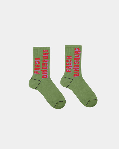 Fresh Dinosaurs // Green Socks